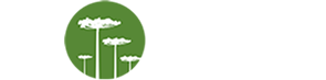 Inova