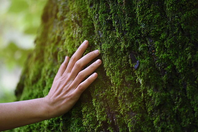 Empresa monitoramento ambiental